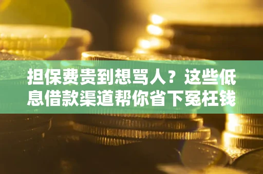 济南担保费贵到想骂人？这些低息借款渠道帮你省下冤枉钱