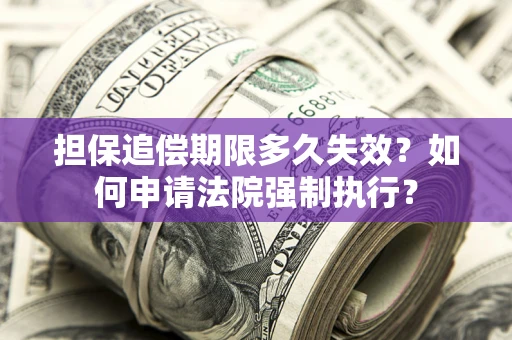 济南担保追偿期限多久失效？如何申请法院强制执行？
