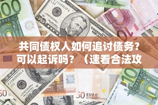 济南共同债权人如何追讨债务？可以起诉吗？（速看合法攻略）